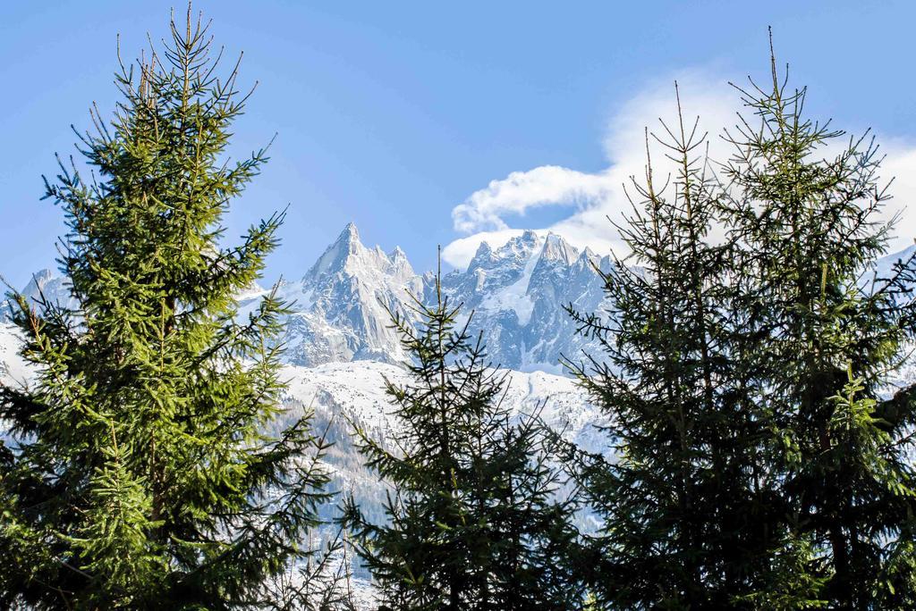 Chalet La Source - Chamonix All Year Esterno foto